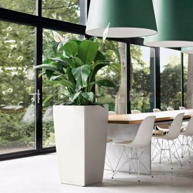 Vaso Lechuza 50 x 50 x 95 cm Plastica Rettangolare