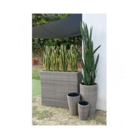 Vaso Home ESPRIT polipropilene Rattan 83 x 22 x 65 cm