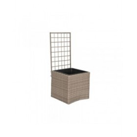 Vaso Home ESPRIT polipropilene Rattan 48 x 52 x 114 cm