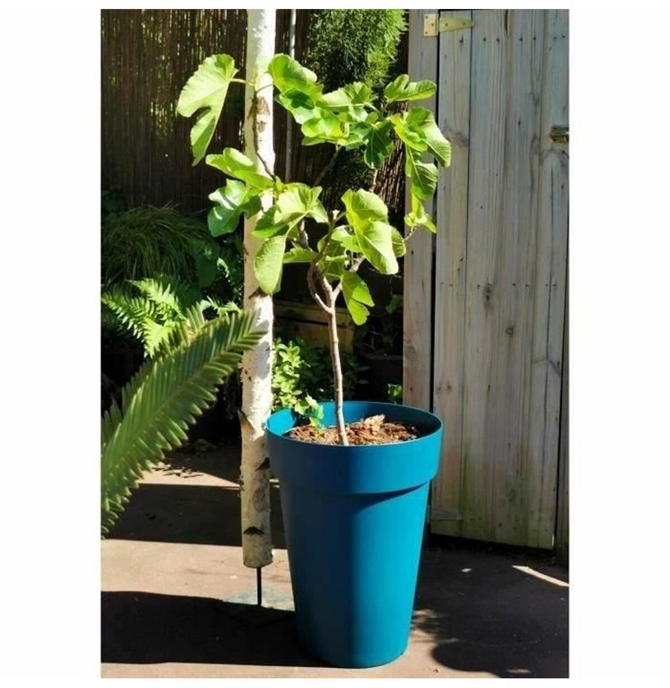 Vaso Lechuza 36 x 36 x 40 cm Nero polipropilene Plastica