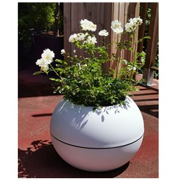 Vaso Lechuza 75 x 30 x 43 cm Plastica Rettangolare