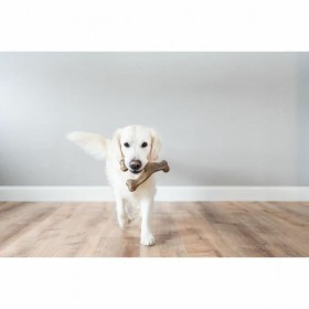Giocattolo da mordere per cani Benebone