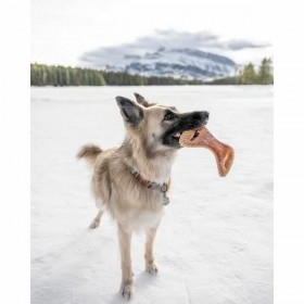 Giocattolo da mordere per cani Benebone animali