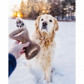 Giocattolo da mordere per cani Benebone animali