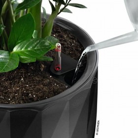 Vaso Lechuza Grigio Plastica (1 Unità)