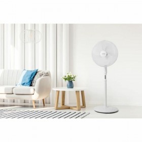 Ventilatore a Piantana Oceanic 684161
