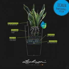 Vaso Lechuza Plastica Rettangolare 50 x 50 x 95 cm