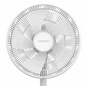 Ventilatore a Piantana Oceanic