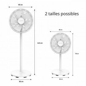 Ventilatore a Piantana Oceanic