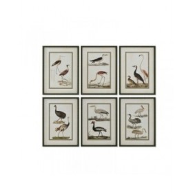Quadro Home ESPRIT Uccelli Cottage 40 x 2,5 x 54 cm (6 Unità)