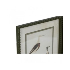 Quadro Home ESPRIT Uccelli Cottage 40 x 2,5 x 54 cm (6 Unità)