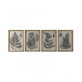 Quadro Home ESPRIT Felce Cottage 50 x 2,5 x 70 cm (4 Unità)