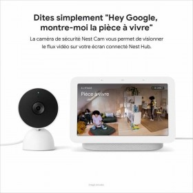 Videocamera di Sorveglianza Nest GA01317-FR
