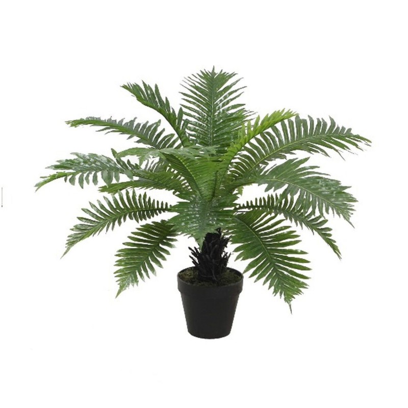 Pianta Decorativa Home ESPRIT PVC Felce 80 x 80 x 60 cm
