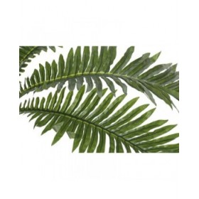 Pianta Decorativa Home ESPRIT PVC Felce 80 x 80 x 60 cm