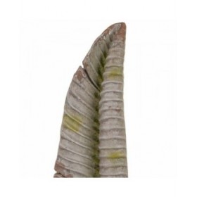 Statua Decorativa Alexandra House Living Magnesio Foglio 17 x 61 x 17 cm