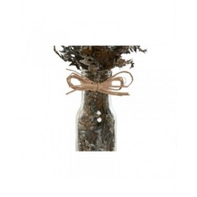 Pianta Decorativa Home ESPRIT Cristallo Fiore 11 x 11 x 40 cm (3 Unità)