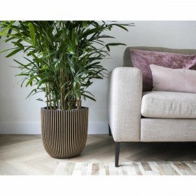 Vaso Capi Europe Dorato Plastica Rettangolare Ø 35 cm