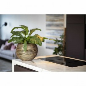 Vaso Capi Europe Dorato Plastica Rotondo Ø 40 cm