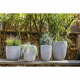 Vaso Capi Europe Plastica Rotondo