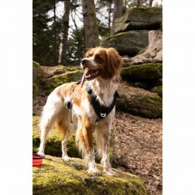 Imbracatura per Cani SYMBIOZ Nero M