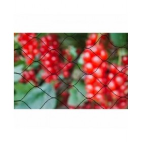 Rete anti uccelli Nature Primo Nero Polietilene 5 x 2 m
