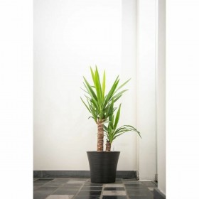 Vaso Garden ID Nero 30 x 27 cm