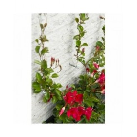Separatore Nature Grigio Metallo