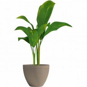Vaso Garden ID