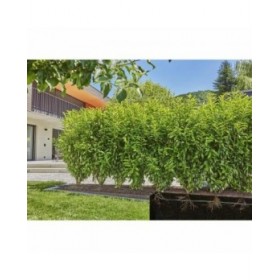 Tubo antigoccia Gardena 13503-20 25 m