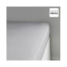 Lenzuolo con angoli aderenti TODAY Percale Grigio chiaro 140 x 200 cm Grigio