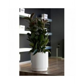 Vaso Plastiken Bianco Plastica Quadrato Ø 38 cm