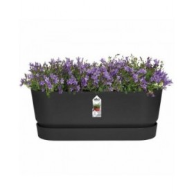 Vaso rettangolare da Balcone Elho   Nero 50 cm Plastica Ovalada