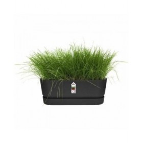 Vaso rettangolare da Balcone Elho   Nero 50 cm Plastica Ovalada