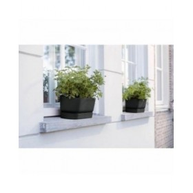 Vaso rettangolare da Balcone Elho   Nero 50 cm Plastica Ovalada