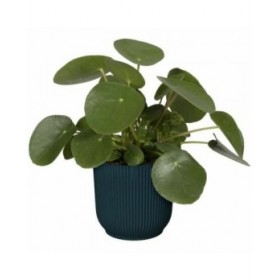 Vaso Elho   Ø 25 cm Rotonda Blu scuro Plastica