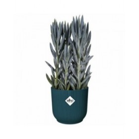 Vaso Elho   Ø 25 cm Rotonda Blu scuro Plastica