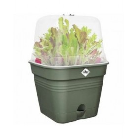 Vaso Elho   Con coperchio Verde Plastica Ø 20 cm