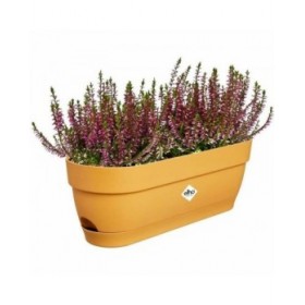 Vaso rettangolare da Balcone Elho   50 cm Plastica