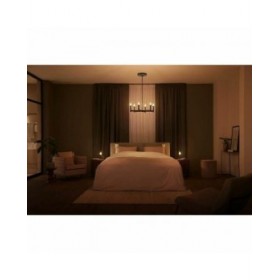 Lampadina Intelligente Philips Bombilla inteligente A60 - E27 7 W 40 W 60 W E27