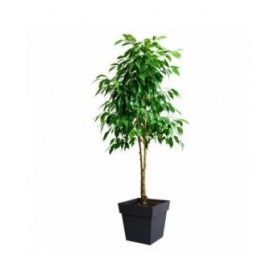 Vaso EDA Grigio polipropilene Plastica 39 cm 39 x 39 x 39 cm