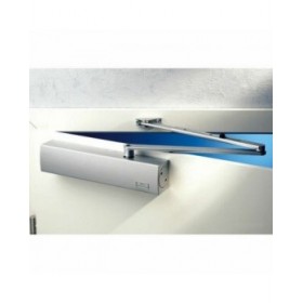 Chiudiporta Burg-Wachter TS 4000 V S Argentato Metallo