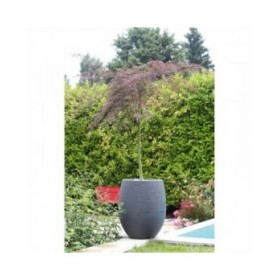 Vaso EDA Antracite Ø 50 cm
