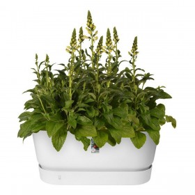 Vaso Elho Terrase 80 Wheels 35 x 78 x 34 cm Bianco