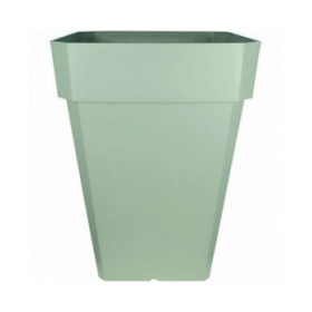 Vaso Riss RIV3580794053026