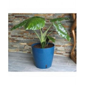 Vaso Riss RIV3580796331061 Ø 30 cm