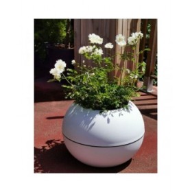Vaso Riss RIV3580798142023 Bianco Plastica Rotondo