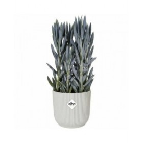 Vaso Elgato Bianco Ø 30 cm Plastica Rotondo Moderno