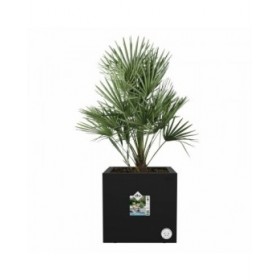 Vaso Elho Nero Ø 29 cm Plastica Quadrato Moderno