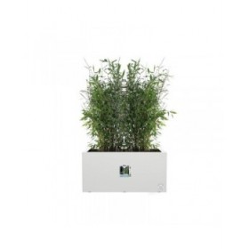 Vaso Elho 59 x 30 x 29 cm Bianco Plastica Rettangolare Moderno
